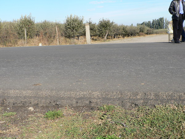 4 strat uzura str. Plt. Ghinita 4.jpg